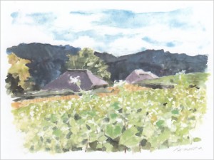 スケッチで描く常陸太田 ～沼田久雪 ポストカード原画展～